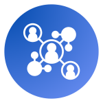 Social Networks